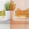 vidaXL Voile Vorhänge mit Schlaufen 2 Stk. Orange 140x175 cm 4102282 Bild 3