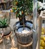 Van der Leeden Blumentopf Pflanzkorb Pflanzentreppe Rattan Korb Pflanzkübel (4 St), 4tlg, 4 Größen, Rattan, Handmade, ohne Wasserablauf Bild 3