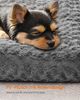 Feandrea Hundebett, Hundekissen M, für kleine Hunde, flauschige Hundematte, Plüsch, 80 x 50 cm, weiche Polsterung, waschbar, rutschfest, schiefergrau Bild 2