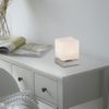 Paul Neuhaus 4036-55 Dadoa Tischleuchte silberfarbig Touchdimmer Bild 2