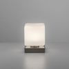 Paul Neuhaus 4036-55 Dadoa Tischleuchte silberfarbig Touchdimmer Bild 4