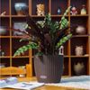 HTI-Living Blumentopf Nessa Hydro 27,5 cm Braun (Stück, 1 St, 1 Übertopf), mit Wasserspeicher und Wasserstandsanzeiger Bild 2