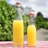 CEPEWA Isolierflasche Bügelflasche 6er Set eckig 6,5x20cm 250ml Glas Metall Dichtung Bild 3