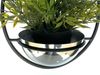 DanDiBo Blumenampel Innen Metall Wand Hängepflanzen 43 cm 96087 S mit Topf Silber Pflanzenhänger Blumenhänger Topfhänger Blumen Blumentopfhänger Hängetopf Bild 3