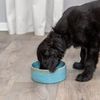 TRIXIE Futternapf Keramiknapf Effekt - ofengebrannt - wunderschön, Keramik, jeder Napf ist ein Unikat Bild 3
