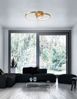 Nova Luce 8100282 LEON LED Deckenleuchte 2-flammig 3000K Blattgold Bild 4