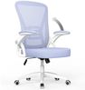 BIGZZIA Bürostuhl Ergonomischer Sitz, Sessel mit 90° klappbarer Armlehne,Lordosenstütze,höhenverstellbar Bild 4