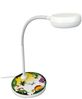Kinder Schreibtischlampe DINO mit Flexarm, Höhe 43cm Bild 2