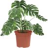 vidaXL Runder Blumentopf 6 pcs Ziegelrot Ø 12,5 x 10 cm Kunststoff 42020263 Bild 3