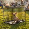 belviona Transportkäfig klappbar mit Bodenwanne, sicherer Hunde- und Katzenkäfig 45 x 31 x 36 cm Bild 2