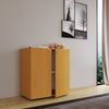 VCM Kommode & Sideboard Vandol 913104 Buche H. 75 x B. 70 x T. 36 cm Bild 3