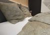 Mako Satin Bettwäsche orientalisch Dots braun Garnitur 200x220 + 2x 80x80 Bild 3