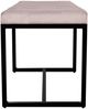 TPFLiving Sitzbank Elvion (Elegante Sitzbank mit weichem Samtbezug, Stabiles Vierfußgestell aus pulverbeschichtetem Eisen), Maße (TxBxH): 40 x 100 x 48cm - Farbe: hellgrau Bild 2