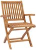 vidaXL Klappbare Gartenstühle mit Kissen 8 Stk. Massivholz Teak 3072786 Bild 3
