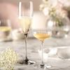Leonardo Sektglas Poesia, Sekt Glas, Champagnerglas, Champagner, Kristallglas, Grau, 250 ml, 022381 Bild 5