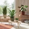 Artevasi Blumentopf Miami Wavy 20cm Anthrazit – eleganter Übertopf mit Wellenstruktur, mattem Finish – ideal als Pflanzkübel für Moderne Räume Bild 1