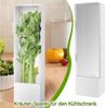BlingBin Frischhaltedose Kräuterbehälter für Kühlschrank, Kräuter Aufbewahrungsbehälter, Kunststoff, (1er Ser, 3-tlg, 27 × 8,7 × 7,5 cm), Langfristige Frischekonservierung, Kräuteraufbewahrung für Koriander Bild 3