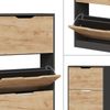 Schuhkipper Luca Anthrazit/Goldkraft Eiche 59 x 105 cm mit 3 Fächern Vicco Bild 5