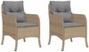 vidaXL Gartenstühle mit Kissen 2 Stk. Beigemischung Poly Rattan 365149 Bild 2