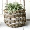 Pflanzkorb BÜSUM Natural Grey ca. 34cm Natur-Rattan Korb Übertopf Bild 2