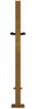 vidaXL Gartentor 100x100 cm Cortenstahl Gras-Design 153227 Bild 5