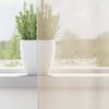 vidaXL Voile Vorhänge mit Lasche 2 Stk. Creme 4102269 Bild 3