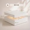 HOMCOM Couchtisch Beistelltisch mit RGB LED Beleuchtung, Offener Ablage (Wohnzimmertisch, 1-St, Kaffeetisch), für Wohnzimmer, 78 x 78 x 40 cm Bild 3