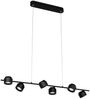 Paulmann 79773 LED Pendelleuchte Puric Pane 6-flammig schwarz 3-Step Dim Bild 3