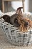 Clayre & Eef Futternapf, Edelstahl, Tolle Futterschalen Doppel Hundefressnapf aus Eisen Modell KIN Bild 2