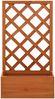 vidaXL Garten-Spalier mit Blumenkasten Orange 50x25x90 cm Tannenholz 314830 Bild 2