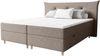 99rooms Artemis Boxspringbett 160x200 cm Velours SORO Beige Taschen-Federung Bild 3