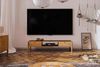 Lowboard TV-Schrank SAGA Eiche massiv 160x39x46 cm Bild 2