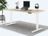 Desktopia Pro X - Elektrisch höhenverstellbarer Schreibtisch / Ergonomischer Tisch mit Memory-Funktion, Ahorn, Gestell Weiß, 120x80 cm