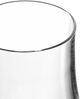 Leonardo CIAO+ Grappaglas mit 2 & 4 cl Füllstrichen 6er Set "Gastro-Edition" Bild 4