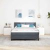 vidaXL Boxspringbett mit Kopfteil Dunkelgrau 200 x 140 cm Samt 3341469 Bild 3