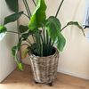 Van der Leeden Blumentopf Pflanzkorb Pflanzentreppe Rattan Korb Pflanzkübel (6 St), 6tlg, 6 Größen, Rattan, Handmade, ohne Wasserablauf Bild 2