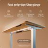 Desktronic HomePro Elektrisch höhenverstellbarer Schreibtisch 160x80cm Weiß/Eiche mit Memory-Funktion, Anti-Kollisions Technologie, USB-A und USB-C-Ladeanschlüssen Bild 3
