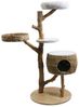 Nobby Kratzbaum "Arbo" Bild 2