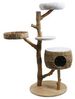 Nobby Kratzbaum "Arbo" Bild 4