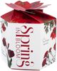 DUO Spring in bloom Becher 400 ml RED FLOWERS in dekorativer Box, New Bone China Porzellan Bild 5