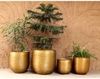 Orientalischer Blumentopf Barcelona M Bild 5