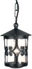 LED Outdoor Pendelleuchte aus Alu im Landhausstil, Schwarz Ø15cm Bild 2