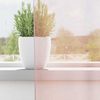 vidaXL Voile Vorhänge mit Schlaufen 2 Stk. Hellrosa 140x140 cm 4102276 Bild 3