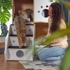 Relaxdays Hundetreppe mit 3 Stufen Bild 4