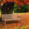CLP Teakbank Jackson V2 Gartenbank mit Rückenlehne wetterfest stabil massiv,teak 200 cm Bild 5