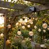 LED Solar Lichterkette, 24x Glühbirnen, Außenbereich, L460cm Bild 5