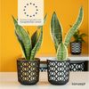 KONZEPT Blumentopf Übertopf Ø 14cm, 3er Pflanzentopf Set für Zimmerpflanzen aus Plastik (1 St), ideal für Zimmerpflanzen, Orchideen, Kräuter und Sukkulenten Bild 3