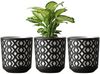 KONZEPT Blumentopf Übertopf Ø 14cm, 3er Pflanzentopf Set für Zimmerpflanzen aus Plastik (1 St), ideal für Zimmerpflanzen, Orchideen, Kräuter und Sukkulenten Bild 4