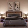 vidaXL Nachttische mit LED-Leuchten 2 Stk. Räuchereiche Holzwerkstoff 852042 Bild 5