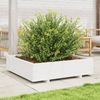 vidaXL Pflanzkübel Weiß 100x100x26,5 cm Massivholz Kiefer 847319 Bild 3